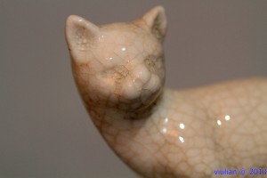 Emaux de Louvière - Cat Closeup